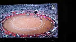 Paseíllo - Cartel de Mujeres - Plaza México 2024