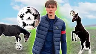 NAUCZYŁEM KONIA GRAĆ W PIŁKĘ! | Zrobiłem MONSTEROWE LODY!