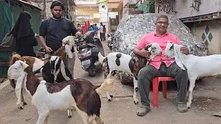 Yaha Quality King👑 Ka Jalwa😱 Wo Bhi Dhamaka Offer🙄 Lo Aur Shouk Karo || Ali Bhai Bhiwandi Mumbai ||