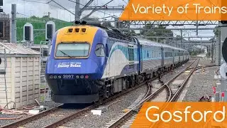 Sydney Trains Vlog 1904: Gosford Friday Afternoon Variety of Trains