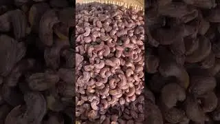 Fresh Pine Nuts Harvested by Hand 🌰 | Premium Natural Flavor
