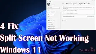 Split Screen Not Working on Windows 11 - 4 Fix