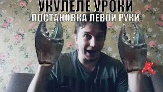 Укулеле урок№1: постановка левой руки. Как правильно держать укулеле?Классическая и блюзовая позиции