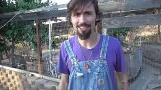 Using Duck Pond water 2 & 3 times at Highland Downs with The Permaculture Student Online