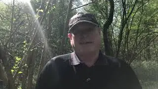 Mindset Pro Super Hero