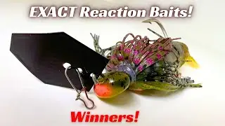 These EXACT Baits Create Reaction Strikes!
