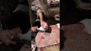 Amazing Rawas Fish Cutting Skills In Bangladesh Fish Market5#shorts