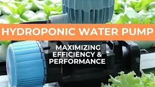 The Ultimate Guide to Hydroponic Water Pumps | Choosing, Installing & Maintaining