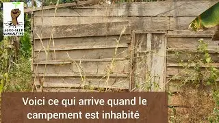 Voici ce qui arrive quand un campement est inhabit&eacute; !!!