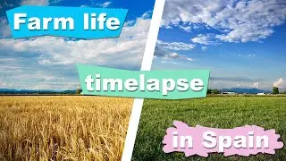Farm life timelapse in Spain