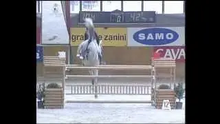 Piergiorgio Bucci su Porto Rico (Horse Show Jumping 2008)