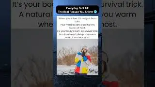 The Real Reason You Shiver 🥶#facts #everydayfacts #shorts #ytshorts