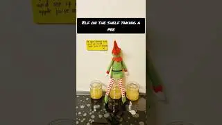 Elf on the Shelf Takes a Pee: Hilarious & Fun Ideas for Christmas Mischief