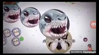 Posplit agar