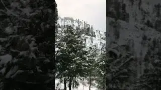 Explore Shangla top | Adventure with Chkar | 17