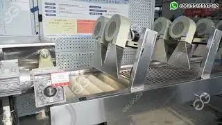 Mango Washing Machine | Mango Grading Machine