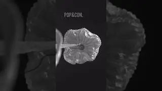 #isro #gaganyaan successfully tested its drogue parachute.