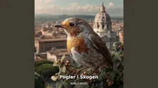 Skogens Fugler &ndash; Avslappende Lyd for Meditasjon, Pt.7
