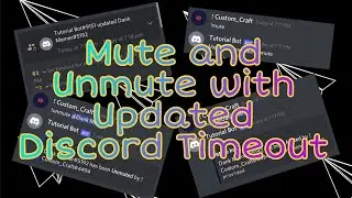 Mute And Unmute With Timeout | BDFD#6