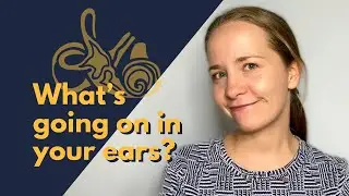The science of hearing: Can you believe how your ears work?