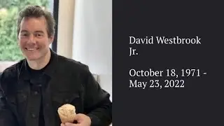 Public's Assistance With the David Westbrook Jr. Homicide Investigation