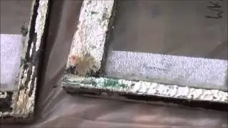 Chemical Stripping of Lead Paint