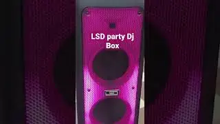 LSD party Dj Box, Rechargable with Delay Reverb, wireless microphone
