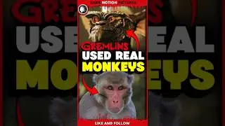 The GREMLINS Almost Used REAL Monkeys!?
