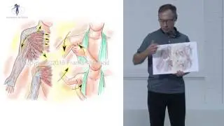 Faszien machen beweglich | Franklin-Methode®