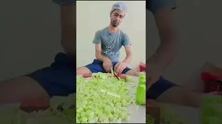 🌽🍉super fast cutting master || super fast cuttin🍠🍠