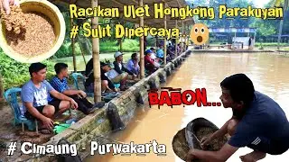 ULET HONGKONG PARAKUYAN feat. SENGGG GP || JADI SULIT DIPERCAYA !