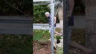 RHIZOMES de BAMBOU. M&eacute;thode d'arrachage sans efforts !