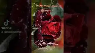 Замечательного вечера!