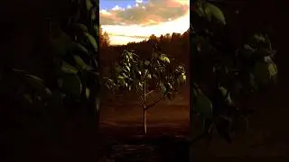 Lone tree at the edge of the forest.#3d #3danimation #3dart #blender #promo #vfx #lovly #creator