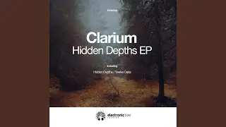 Hidden Depths (Original MIx)
