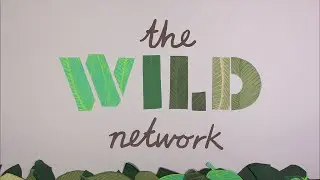 The Wild Network