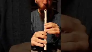 🐢 Bear Dance (Polka) Tin Whistle Slow Tutorial. Learn Irish Music ☘️