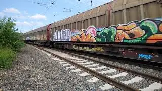 91 80 6189 080 5 D DB Transwaggon + VIAS Paralleleinfahrt