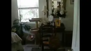 Investment Property For Sale 2218 Cleveland St, Hollywood, FL 33020