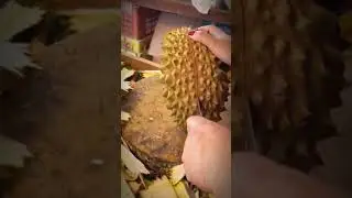 😲 Best Way to Peel a Durian Like a Pro! #Shorts