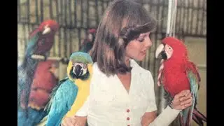 Lee Jordan: What you probably didn't know about her