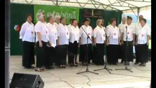 Jobb&aacute;gyi falunap 2011 _ Dalos k&ouml;r.wmv
