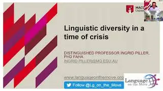 Linguistic Diversity in a Time of Crisis: language challenges of the COVID-19 pandemic