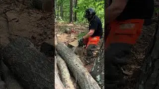 Did you Know you Can Protect your Feet? HAIX Protector Prime #chainsaw #homestead #lineman