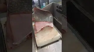 professional fresh seafood stingray fish cutting slice master 💪💯💯👌👌#short video