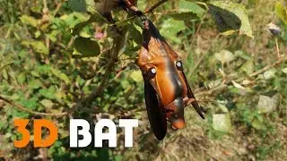 Powierzchniowy nietoperz na Polskich wodach - Savage Gear 3D Bat (Test)