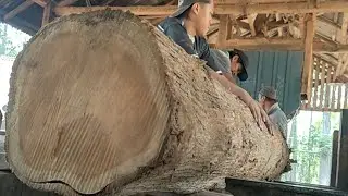 turning teak trees into furniture and building materials for modest homes worth hundreds of dollars