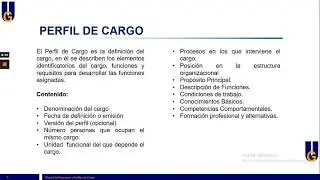 Manual de Funciones y Perfiles de Cargo