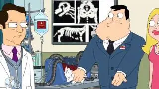 American Dad -  Pirate Cats of Langley Falls