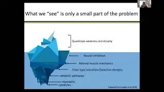 IEPRS Conference 21 | The Neuromuscular and Biomechanical Consequences of ACL Injury